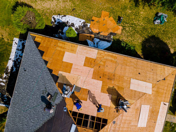 Best Roof Repair Services  in Fayette, OH